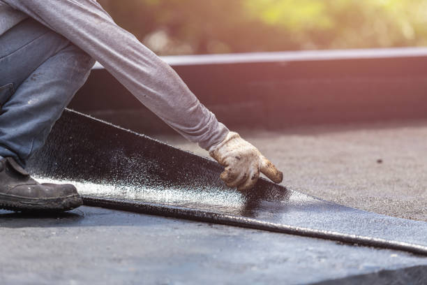 Professional Interior Drainage System technician working in Dansville, NY